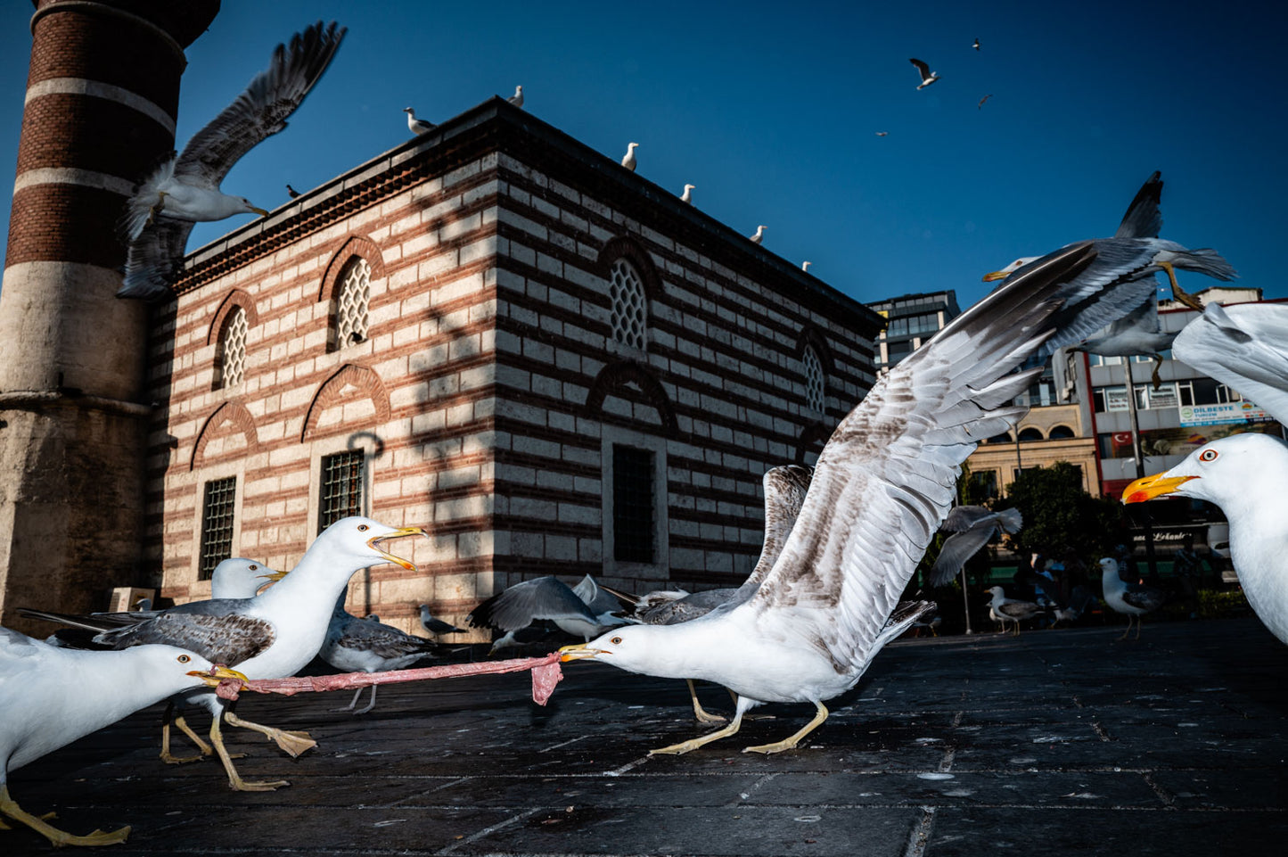 Istanbul Workshop. 24-27 September 2026. With Gökhan Arer. Deposit.