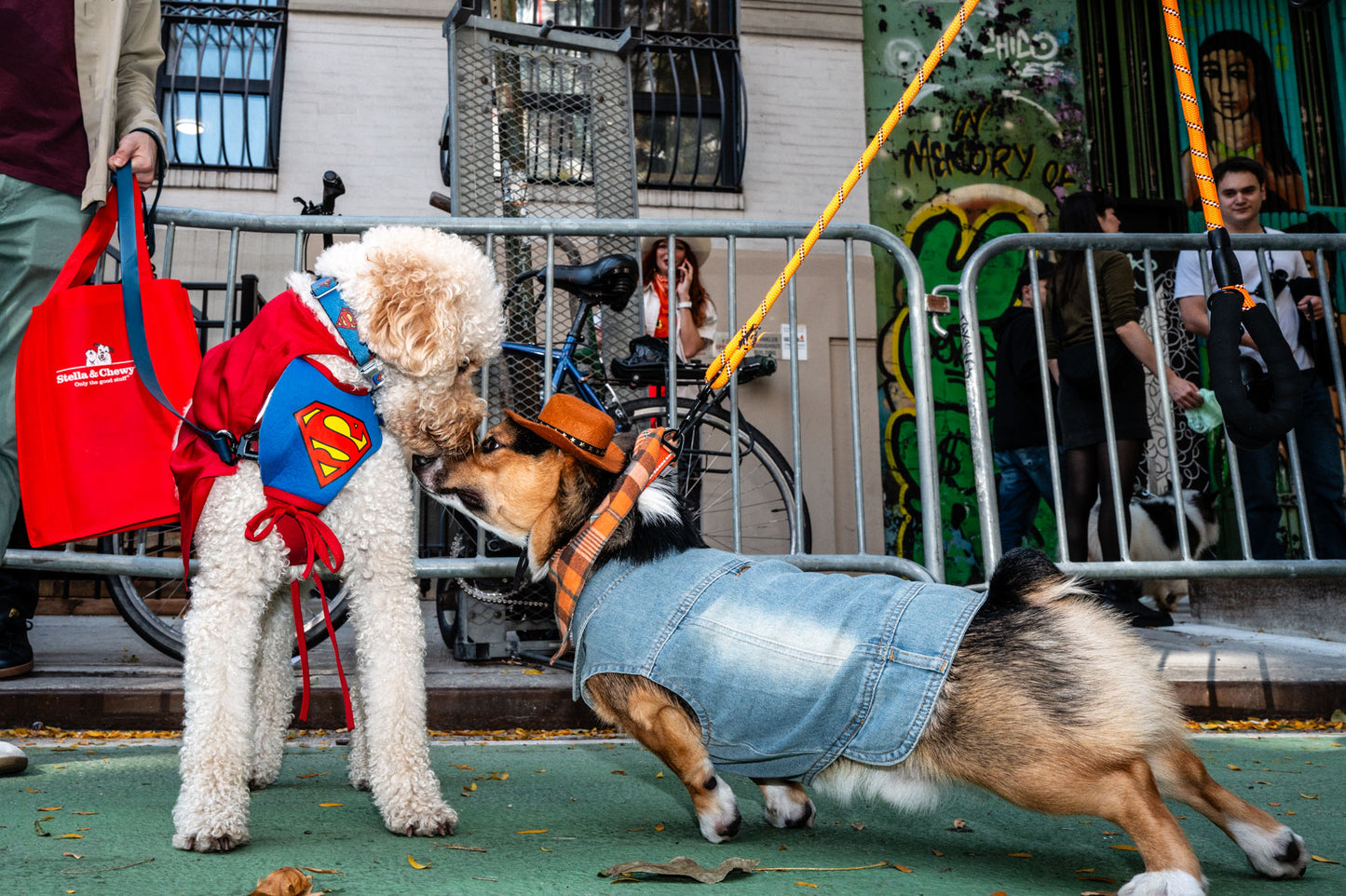 New York City Workshop. 10-14 October 2026. With Nina Welch-Kling and Giedo van der Zwan. Deposit.