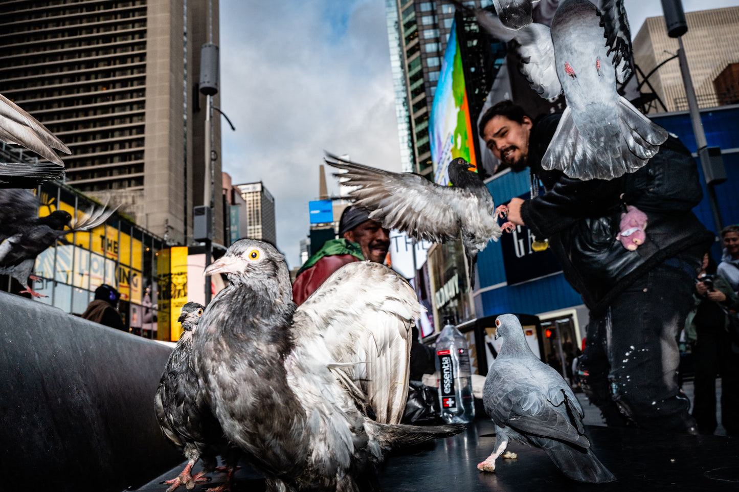 New York City Workshop. 10-14 October 2026. With Nina Welch-Kling and Giedo van der Zwan. Deposit.