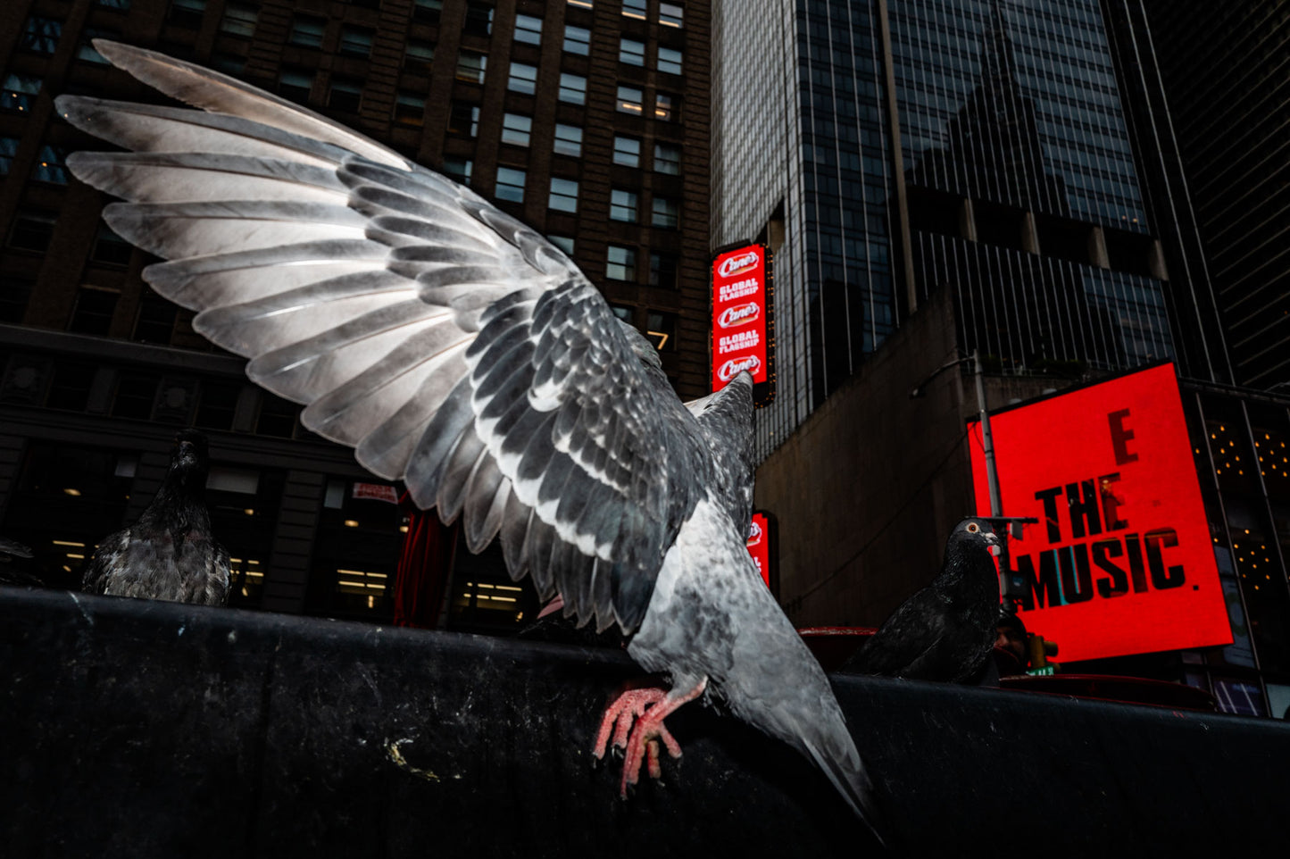 New York City Workshop. 10-14 October 2026. With Nina Welch-Kling and Giedo van der Zwan. Deposit.